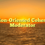 Vision-Oriented Cohesive Moderator