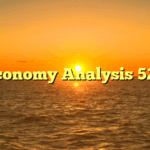 Economy Analysis 520